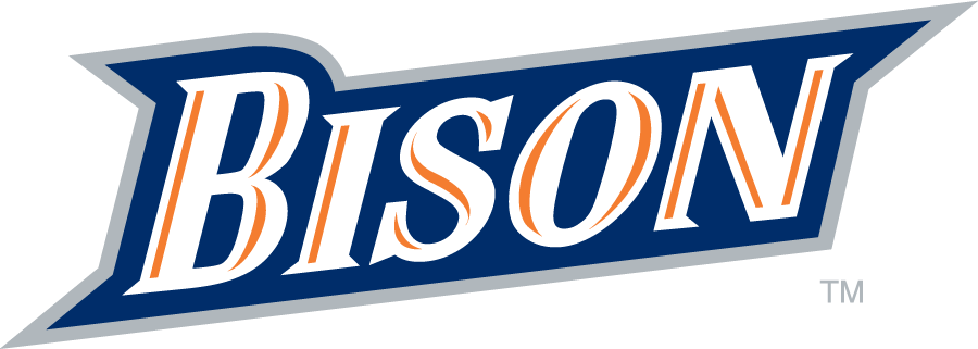 Bucknell Bison 2011-Pres Wordmark Logo v2 diy iron on heat transfer